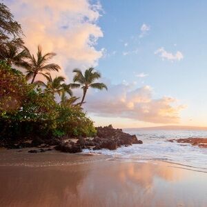 Meet your Posher, Serenity